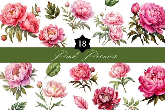 Peonies Watercolor Clipart Set Graphic Illustrations By StudioShvera