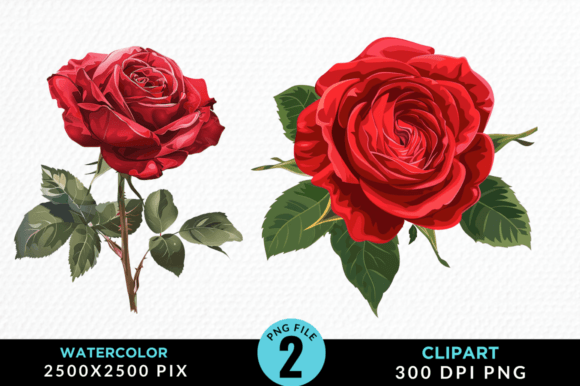 Red Rose Clipart Sublimation PNG Design Illustration Illustrations Imprimables Par Regulrcrative