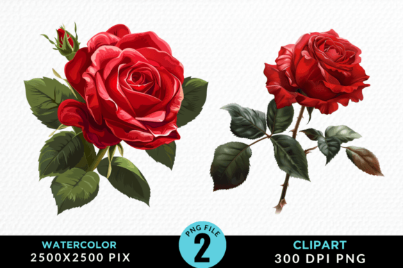 Red Rose Clipart Sublimation PNG Design Illustration Illustrations Imprimables Par Regulrcrative