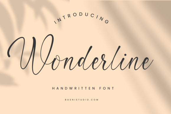 Wonderline Script & Handwritten Font By bee.genin
