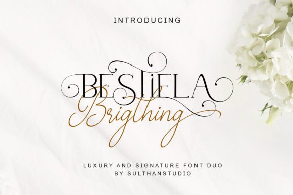 Bestiela Brigthing Script & Handwritten Font By Sulthan Studio