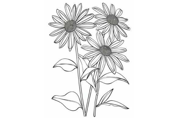 Coneflower Flower Coloring Page Illustration Pages et livres de coloriage pour adultes Par Forhadx5
