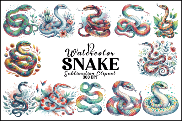 Watercolor Snake Sublimation Clipart Gráfico Ilustraciones IA Por Naznin sultana jui