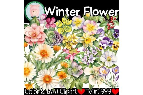 Winter Flower Floral Watercolor Clip Art Graphic Illustrations By TK 1989