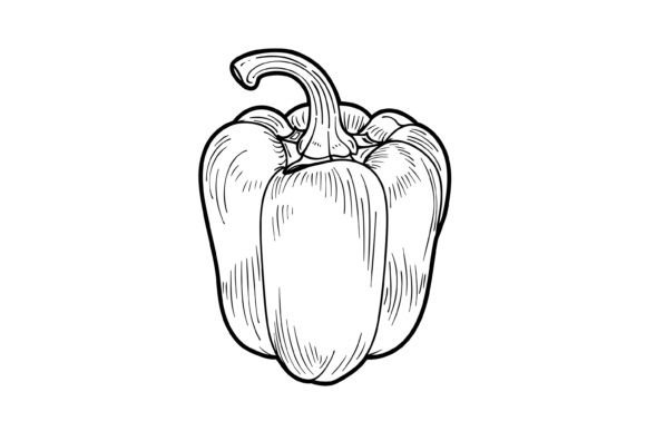 Capsicum Coloring Page for Adults Graphic Coloring Pages & Books Adults By Forhadx5