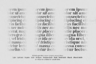 Mylierka Serif Font By maculinc 4