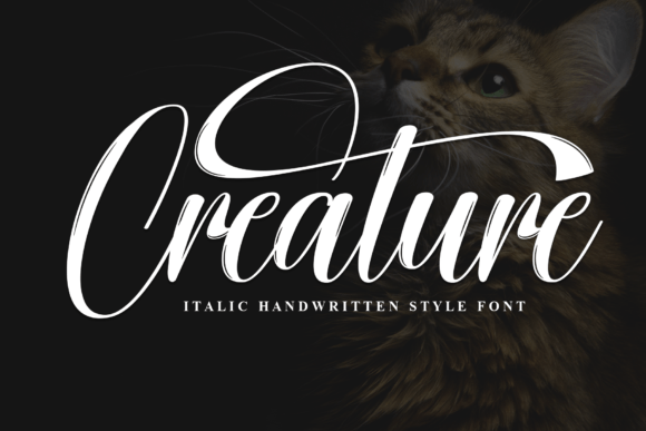 Creature Script & Handwritten Font By andikastudio