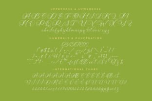 Higland Amaranth Script & Handwritten Font By Letterena Studios 13