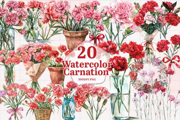Watercolor Carnation Clipart PNG Graphic Illustrations By VictoryHome