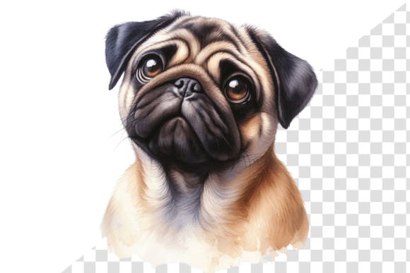 PugLove Watercolor Illustration Graphic Illustrations By Design Store