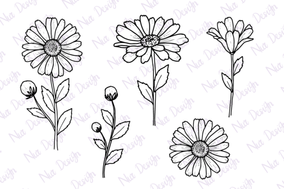 Daisy flower line art