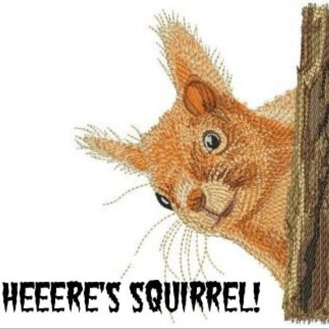 squirrelly's profile picture